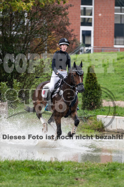 Goldene Schärpe 2020 - Pferde