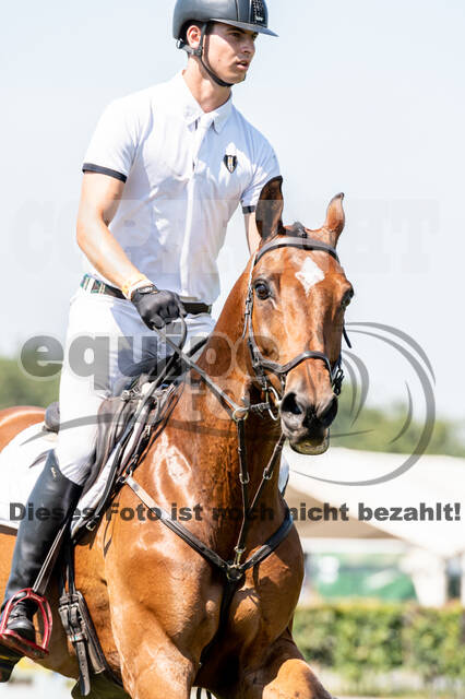 Kronenberg - De Peelbergen (August 2020)