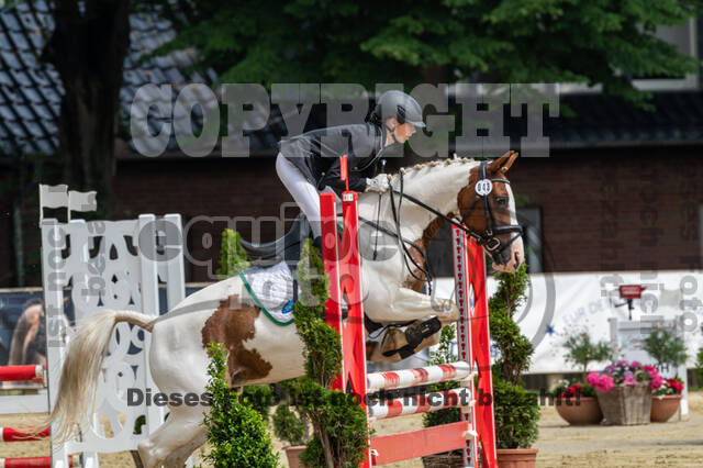 Goldene Schärpe 2021 - Ponys