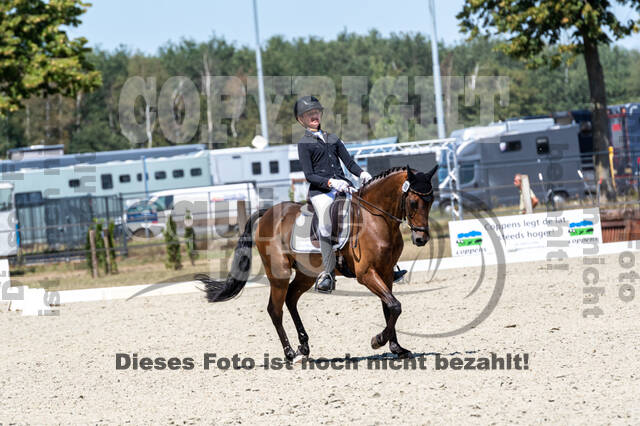 Kronenberg - De Peelbergen (August 2020)