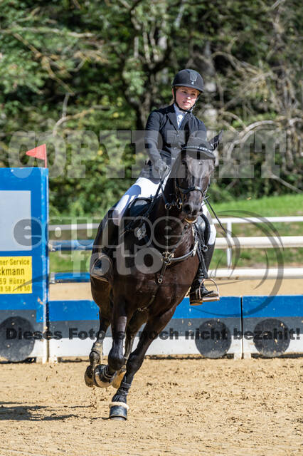 RFV Dinslaken-Hiesfeld (Herbstturnier)