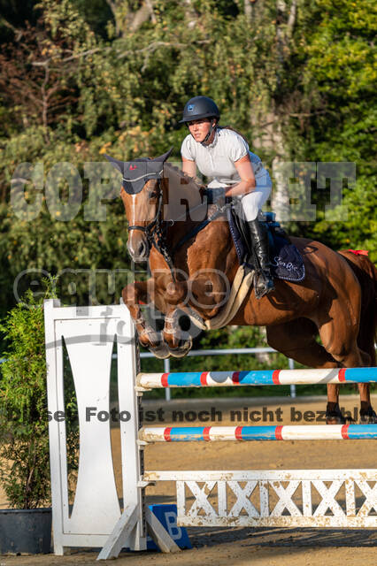 RFV Dinslaken-Hiesfeld (Herbstturnier)