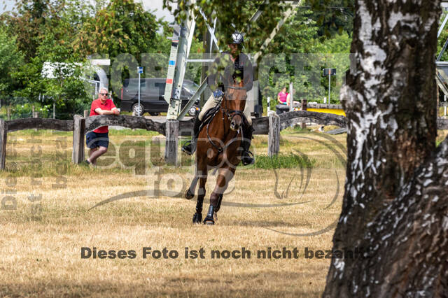 Late-Entry Vielseitigkeit Hamminkeln/Wesel (01.+02.08.2020)