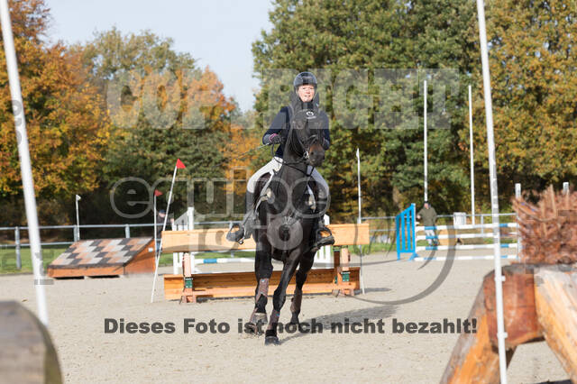 IGV Lehrgang der Sieger der Cups mit Frank Ostholt