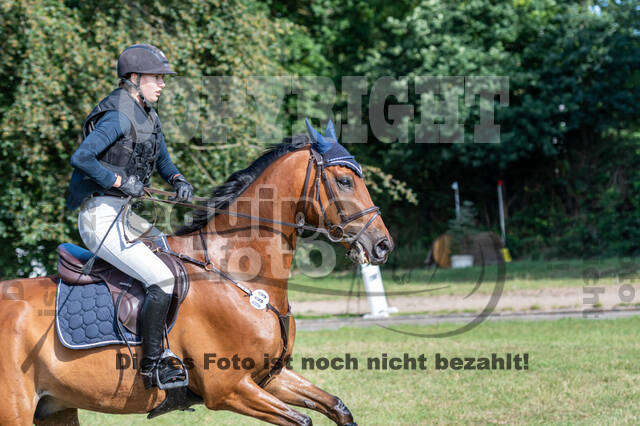 Late-Entry-Vielseitigkeit Langenfeld (11.+13./14.06.2020)