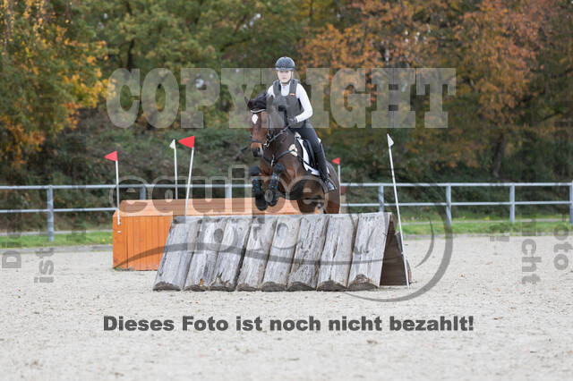 IGV Lehrgang der Sieger der Cups mit Frank Ostholt