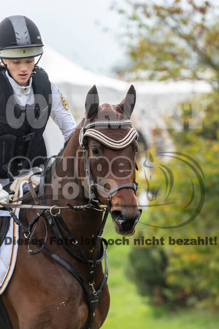 Goldene Schärpe 2020 - Pferde