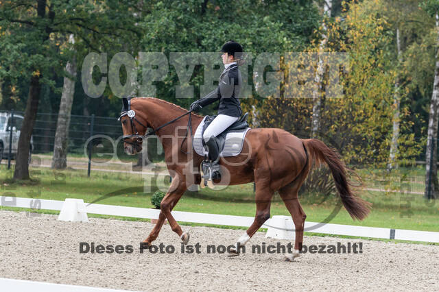 Deutsche Meisterschaft Vielseitigkeit (Luhmühlen)