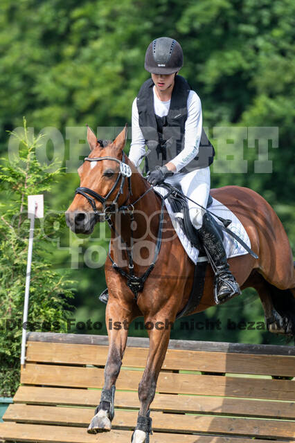 Goldene Schärpe 2021 - Ponys