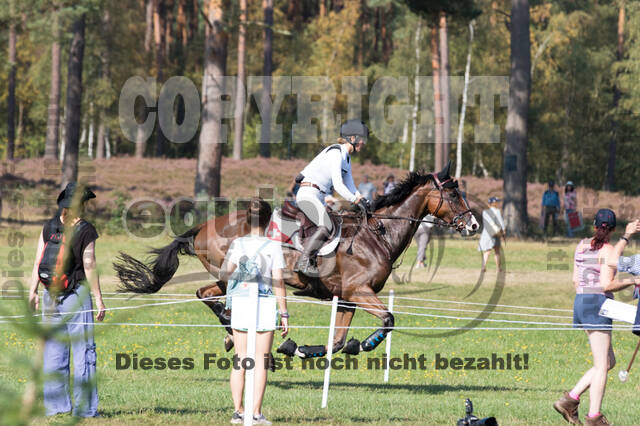 FEI European Championship Eventing 2019