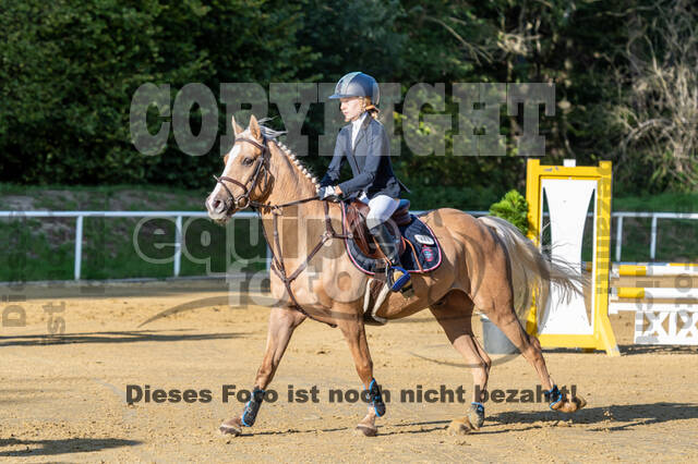 RFV Dinslaken-Hiesfeld (Herbstturnier)