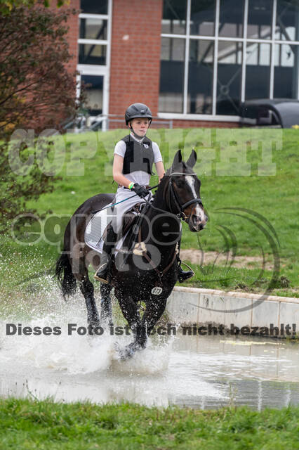 Goldene Schärpe 2020 - Pferde