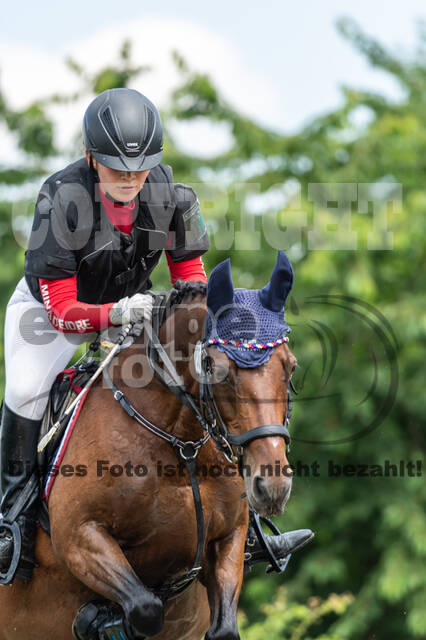 Goldene Schärpe 2021 - Ponys