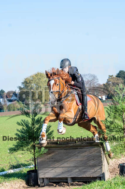 Vielseitigkeitslehrgang mit Jürg Kurbel (9.+10.11.2019)