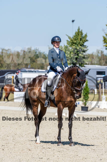 Kronenberg - De Peelbergen (August 2020)