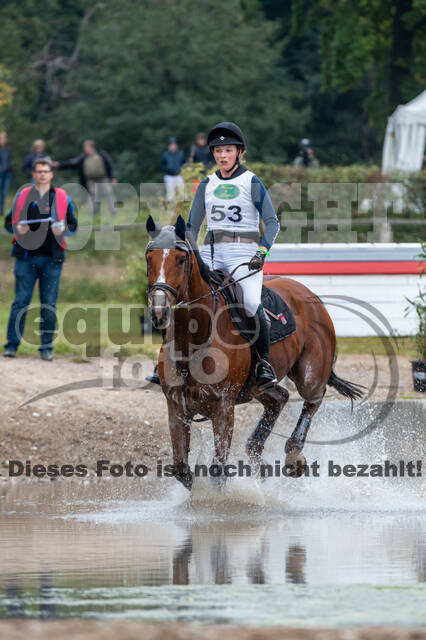 Deutsche Meisterschaft Vielseitigkeit (Luhmühlen)