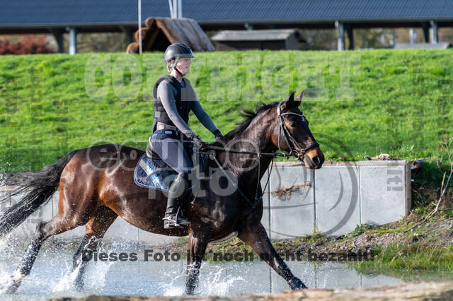 IGV Lehrgang der Sieger der Cups mit Frank Ostholt