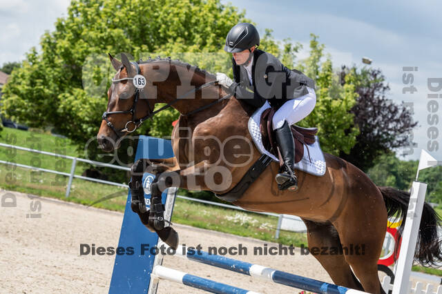 Late-Entry-Vielseitigkeit Langenfeld (06.+07.07.2020)