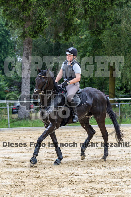 Hunter Geländetraining 10.07.2021 (Sonsbeck)