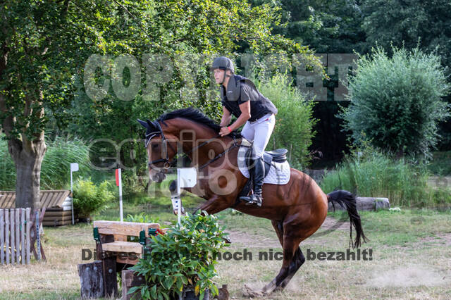Late-Entry Vielseitigkeit Hamminkeln/Wesel (01.+02.08.2020)