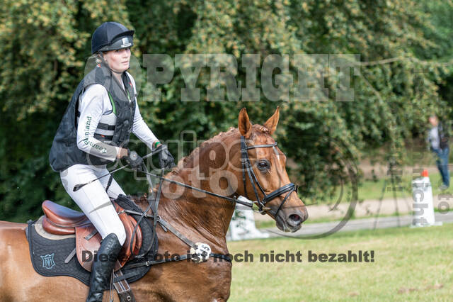 Late-Entry-Vielseitigkeit Langenfeld (11.+13./14.06.2020)