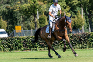 Kronenberg - De Peelbergen (August 2020)