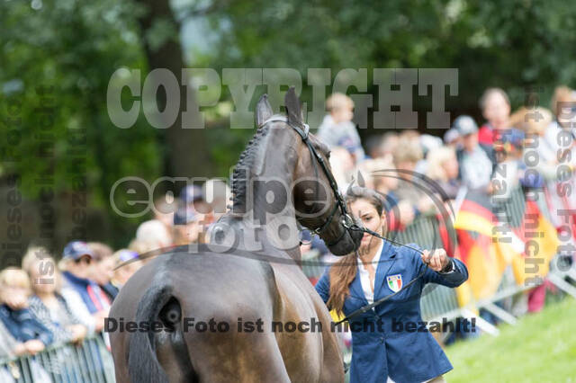 FEI European Championship