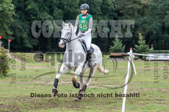 Vielseitigkeit RSV Wesel Obrighoven (26.+27.09.2020)