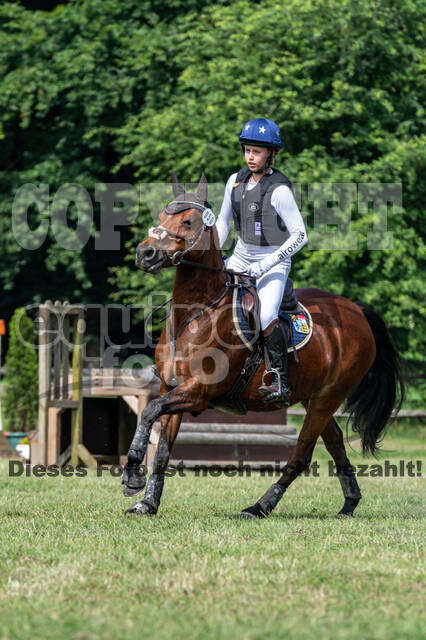 Goldene Schärpe 2021 - Ponys