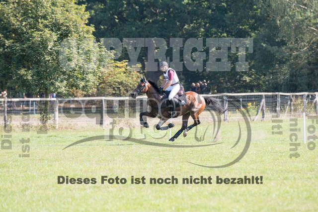 FEI European Championship Eventing 2019