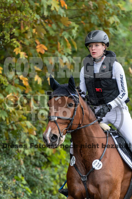 Goldene Schärpe 2020 - Pferde