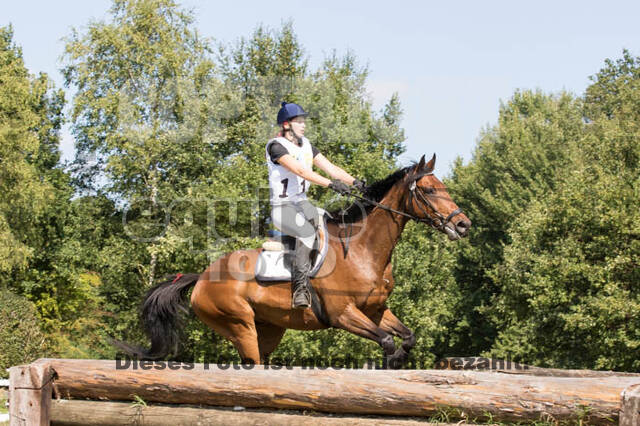 Vielseitigkeitsturnier RSV St. Hubertus Wesel Obrighoven