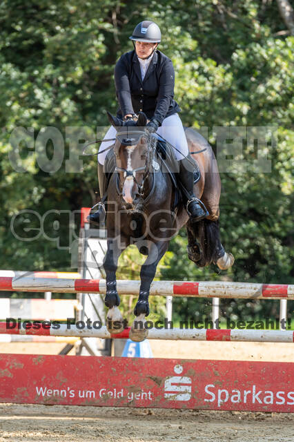 RFV Dinslaken-Hiesfeld (Herbstturnier)