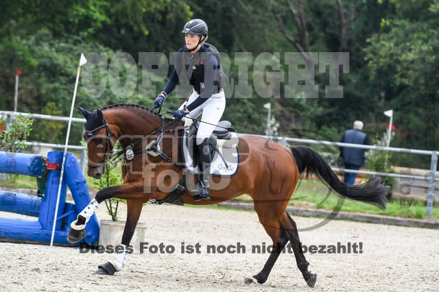 Late-Entry-Vielseitigkeit Langenfeld (11.+13./14.06.2020)