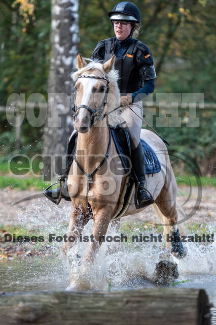 IGV Lehrgang der Sieger der Cups mit Frank Ostholt