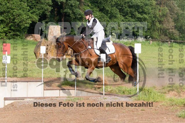 Vielseitigkeitsturnier ZRFV von Lützow Hamminkeln