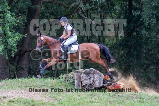 Late-Entry Vielseitigkeit Hamminkeln/Wesel (01.+02.08.2020)