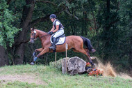 Late-Entry Vielseitigkeit Hamminkeln/Wesel (01.+02.08.2020)
