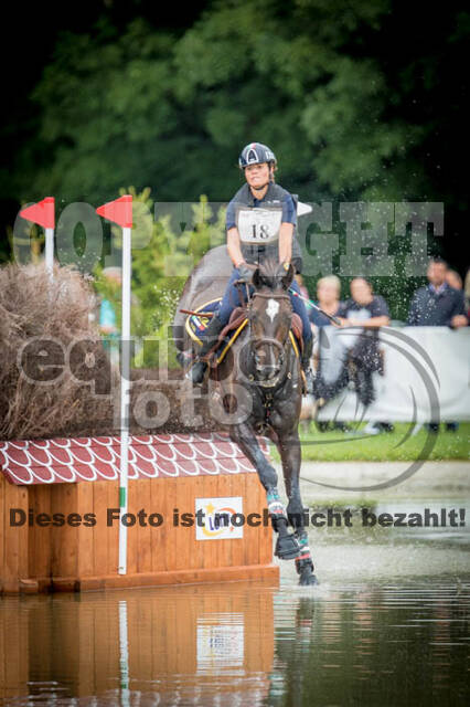 FEI European Championship