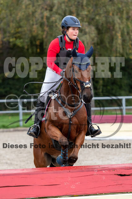 Goldene Schärpe 2020 - Pferde