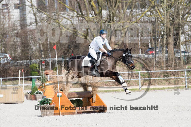 Eventing Langenfeld 2018