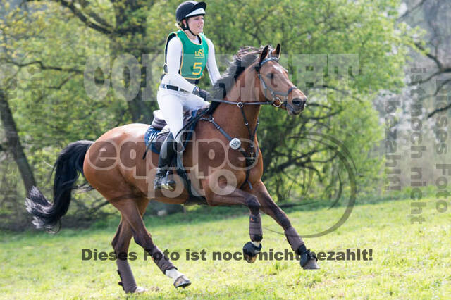 Vielseitigkeitsturnier RV Lippe-Bruch-Gahlen