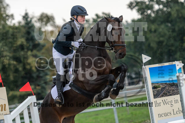 Reiter Schleswig-Holstein