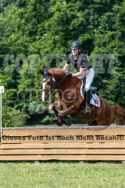 Goldene Schärpe 2021 - Ponys