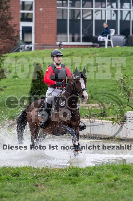 Goldene Schärpe 2020 - Pferde