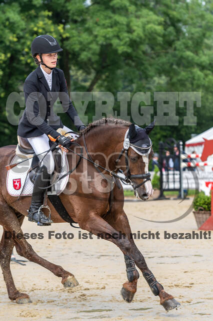 Goldene Schärpe 2021 - Ponys