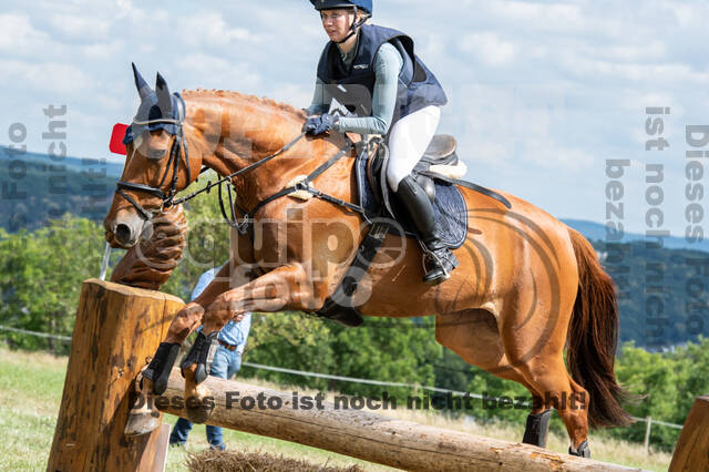 Bonn-Rodderberg Late-Entry-Vielseitigkeit (30.06.2020)