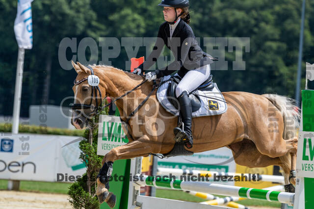Goldene Schärpe 2021 - Ponys