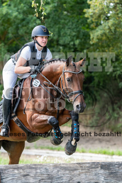 Late-Entry-Vielseitigkeit Langenfeld (06.+07.07.2020)