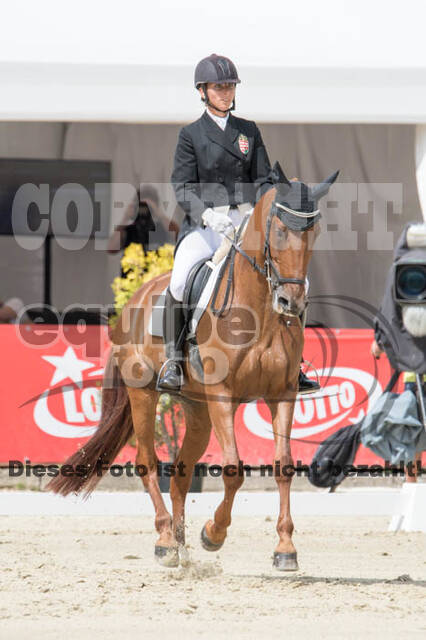 FEI European Championship Eventing 2017